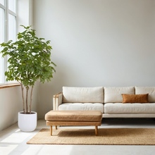 Load image into Gallery viewer, 7' Faux Potted Sumac Tree CG Hunter