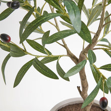 Load image into Gallery viewer, Artificial Olive Topiary Tree with Mediterranean Pot CG Hunter