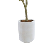 Load image into Gallery viewer, Artificial 7' Olive Tree with Artisan Mediterranean Planter CG Hunter