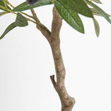 Load image into Gallery viewer, Artificial Olive Topiary Tree with Mediterranean Pot CG Hunter