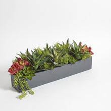 Load image into Gallery viewer, Rectangular Artificial Succulent Arrangement, Gray Planter CG Hunter