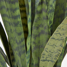 Load image into Gallery viewer, Artificial Snake Plant with Artisan Planter CG Hunter