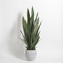 Load image into Gallery viewer, Artificial Snake Plant with Artisan Planter CG Hunter