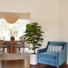 Load image into Gallery viewer, Artificial Fiddle Leaf Fig Tree with Artisan Planter CG Hunter