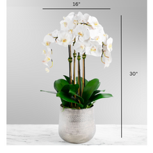 Load image into Gallery viewer, Tall Faux Orchid Arrangement in Vase Vivian Rose Shop