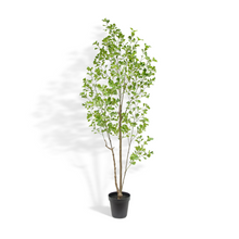 Load image into Gallery viewer, Tall Artificial Ficus Tree 7'
