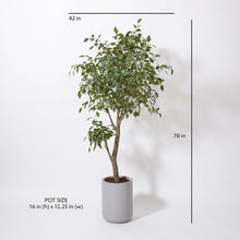 Load image into Gallery viewer, Tall Artificial Ficus Tree in White Pot 6.5'