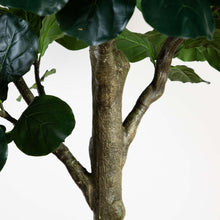 Load image into Gallery viewer, Tall Artificial Fiddle Leaf Fig Tree in Pot