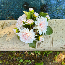Load image into Gallery viewer, Artificial Dahlia Flower Arrangement in Glass Vase - 10" Vivian Rose Shop