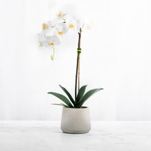 Load image into Gallery viewer, Artificial Orchid Plant White Orchid Plant Vivian Rose Shop