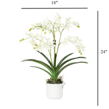 Load image into Gallery viewer, Silk Vanda Orchids in White Vase – Vivian Rose Shop