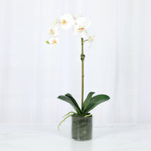 Load image into Gallery viewer, White faux orchid arrangement in glass vase, lifelike design_ Vivian Rose Shop