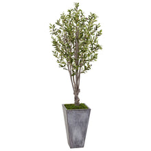 Load image into Gallery viewer, 6’ Olive Tree in Stone Planter Nearly Natural
