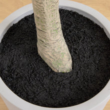 Load image into Gallery viewer, 7.5’ Artificial Greco Locust Citrus Tree in Decorative Planter