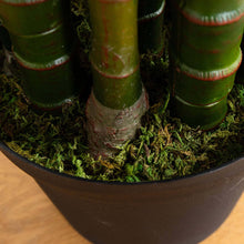 Load image into Gallery viewer, 8' UV Resistant Artificial Areca Palm Tree (Indoor/Outdoor) Nearly Natural