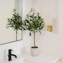 Load image into Gallery viewer, Faux Olive Tree - 29 in Vivian Rose Shop