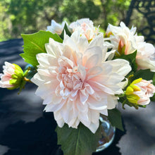 Load image into Gallery viewer, Artificial Dahlia Flower Arrangement in Glass Vase - 10" Vivian Rose Shop