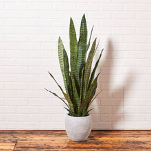 Load image into Gallery viewer, fake snake plant
