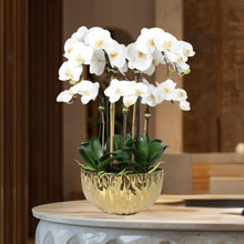 Load image into Gallery viewer, Faux Orchid Centerpiece Arrangement - 24" Vivian Rose Shop