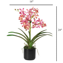 Load image into Gallery viewer, Faux pink Vanda orchids in black modern cylinder vase – luxury home decor | Vivian Rose Shop