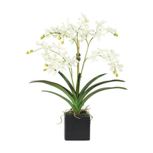 Load image into Gallery viewer, Faux Vanda Orchids in Black Square Vase – Vivian Rose Shop