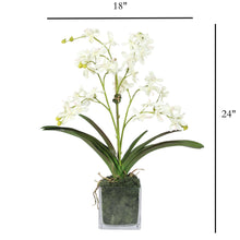 Load image into Gallery viewer, Faux Vanda Orchids in Clear Glass Vase – Vivian Rose Shop