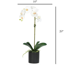 Load image into Gallery viewer, 20 inch artificial orchid in vase, elegant home or office decor- 20" Vivian Rose Shop