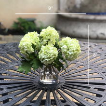 Load image into Gallery viewer, Real touch green hydrangea arrangement in glass vase - 8" Vivian Rose Shop