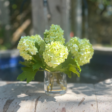 Load image into Gallery viewer, green hydrangea flower arrangement in vase silk hydrangea arrangement