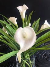 Load image into Gallery viewer, real touch calla lilies