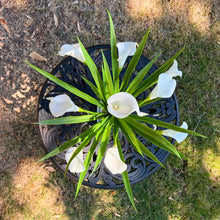Load image into Gallery viewer, calla lilies centerpiece