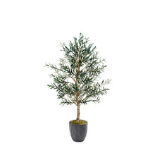 Load image into Gallery viewer, Olive Tree in Black Planter 7.5'