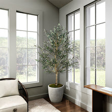 Load image into Gallery viewer, indoor tree