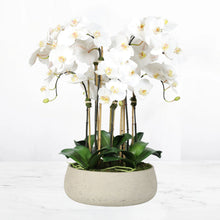 Load image into Gallery viewer, Artificial orchid centerpiece arrangement in beige planter - 28" Vivian Rose Shop