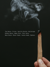 Load image into Gallery viewer, Palo Santo Ritual Candle Alchemist + Co.