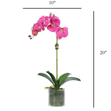 Load image into Gallery viewer, Artificial Orchid Plant in Vase - 20" Vivian Rose Shop