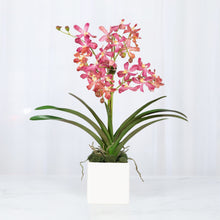Load image into Gallery viewer, Faux pink Vanda orchid arrangement in white square ceramic vase – 24" | Vivian Rose Shop