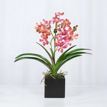 Load image into Gallery viewer, Faux pink Vanda orchids in modern black square vase – artificial orchid arrangement | Vivian Rose Shop