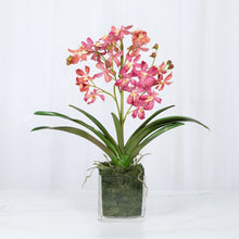 Load image into Gallery viewer, Pink Vanda orchids in square glass vase – faux orchid arrangement 24" | Vivian Rose Shop