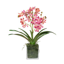 Load image into Gallery viewer, Wild pink Vanda orchids in square clear glass vase – artificial floral arrangement | Vivian Rose Shop