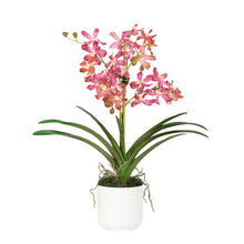 Load image into Gallery viewer, Real touch pink Vanda orchids in white cylinder vase – handcrafted USA | Vivian Rose Shop