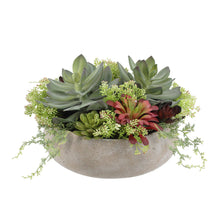 Load image into Gallery viewer, Round Artificial Succulent Arrangement, Natural Planter CG Hunter