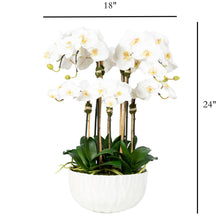 Load image into Gallery viewer, Faux Orchid Centerpiece Arrangement - 24" Vivian Rose Shop