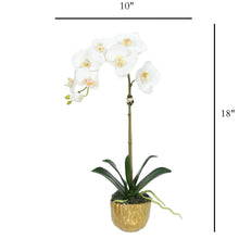 Load image into Gallery viewer, Silk orchid plant in gold vase – artificial phalaenopsis home decor