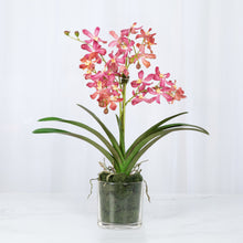 Load image into Gallery viewer, Silk pink orchids in glass cylinder vase – faux Vanda orchid arrangement | Vivian Rose Shop