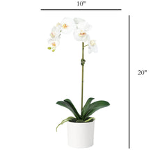 Load image into Gallery viewer, Floral Decor_Artificial Orchid Plant in Vase - 20" Vivian Rose Shop