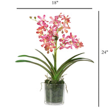 Load image into Gallery viewer, Vanda orchids in modern glass cylinder vase – real touch faux floral | Vivian Rose Shop