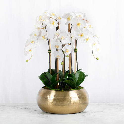 Large Orchid Centerpiece Arrangement Floral Home Decor