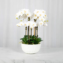 Load image into Gallery viewer, Faux Orchid Centerpiece Arrangement - 24" Vivian Rose Shop