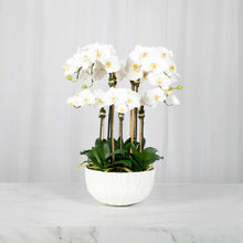 Load image into Gallery viewer, Faux Orchid Centerpiece Arrangement - 24" Vivian Rose Shop